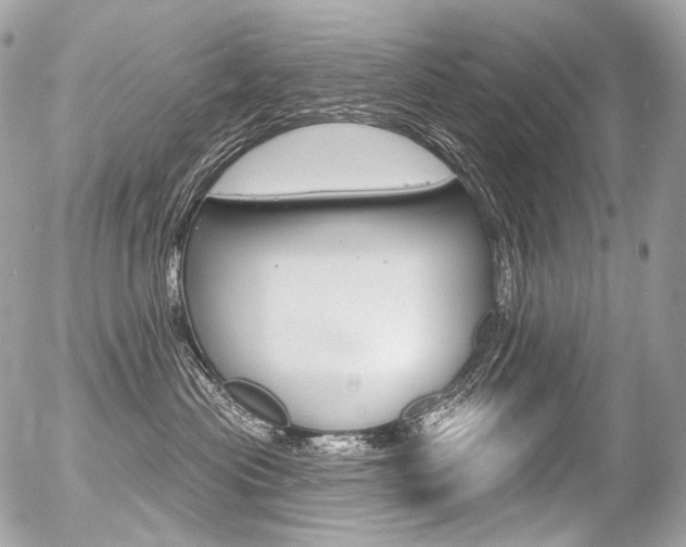 X0000056370477200508260925