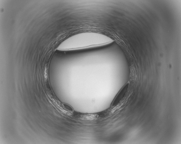 X0000056370479200508260925