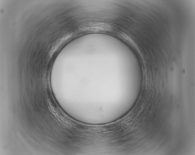 X0000056370482200508260924
