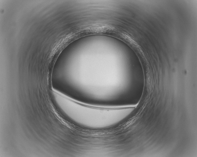 X0000056370493200508260924