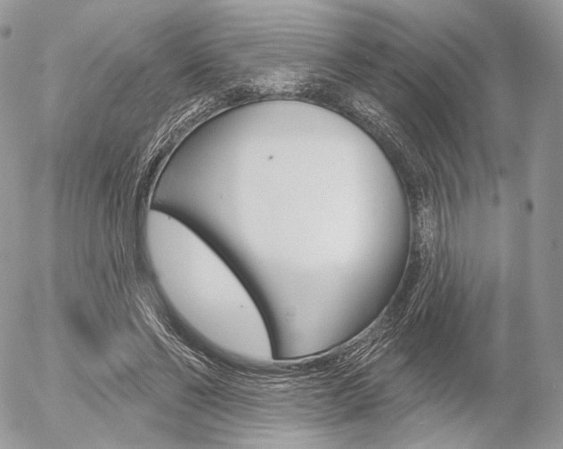 X0000056370494200508260924