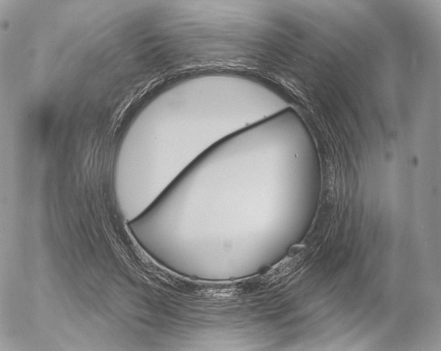 X0000056370495200508260924