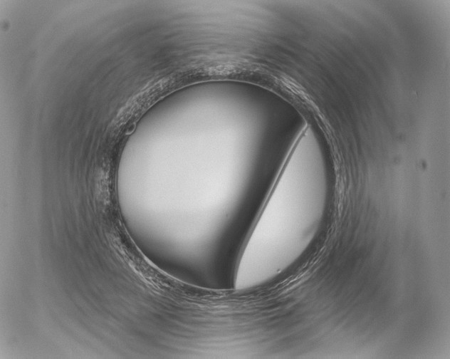 X0000056370497200508260924