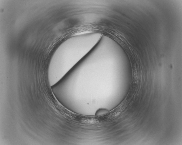 X0000056370503200508260924