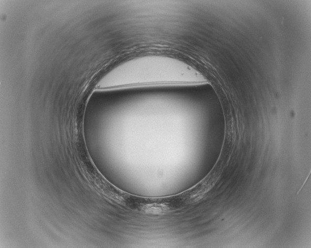 X0000056370508200508260924