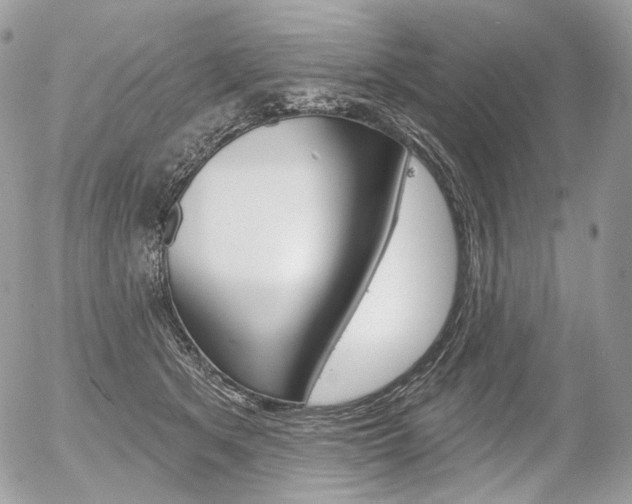 X0000056370513200508260924