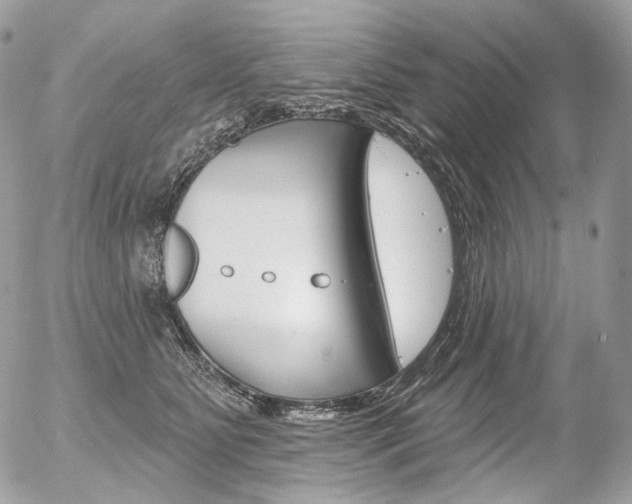 X0000056370515200508260924
