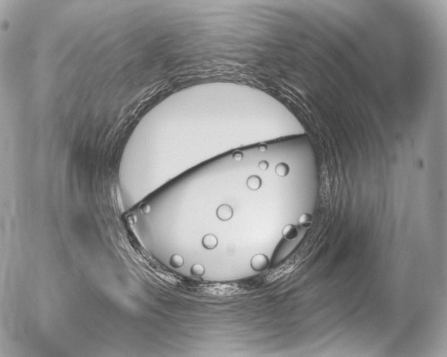 X0000056370527200508260923