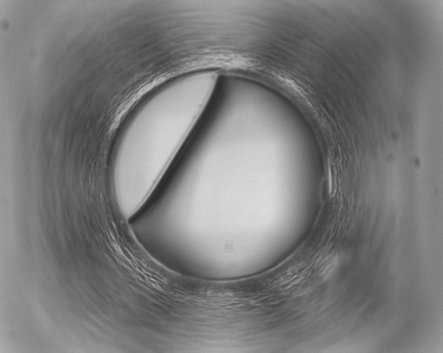 X0000056370531200508260923