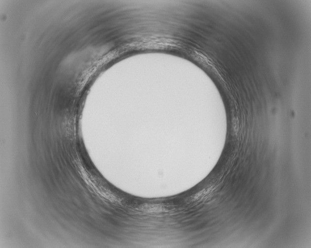 X0000056370534200508260923