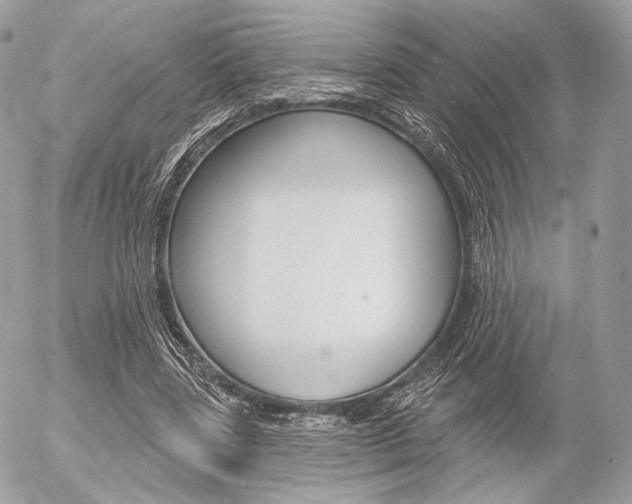 X0000056370539200508260923