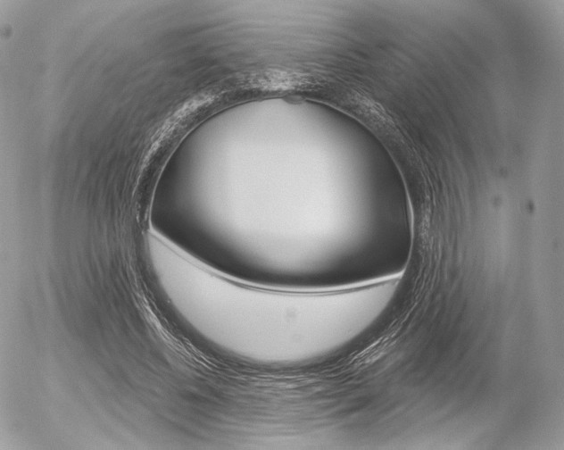 X0000056370540200508260923
