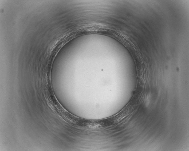 X0000056370547200508260923