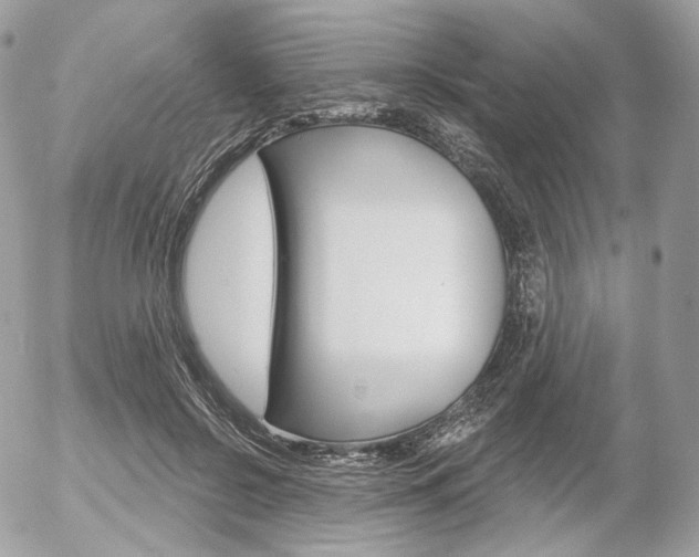 X0000056370550200508260923