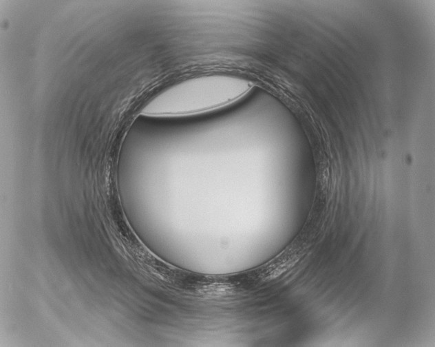 X0000056370551200508260923