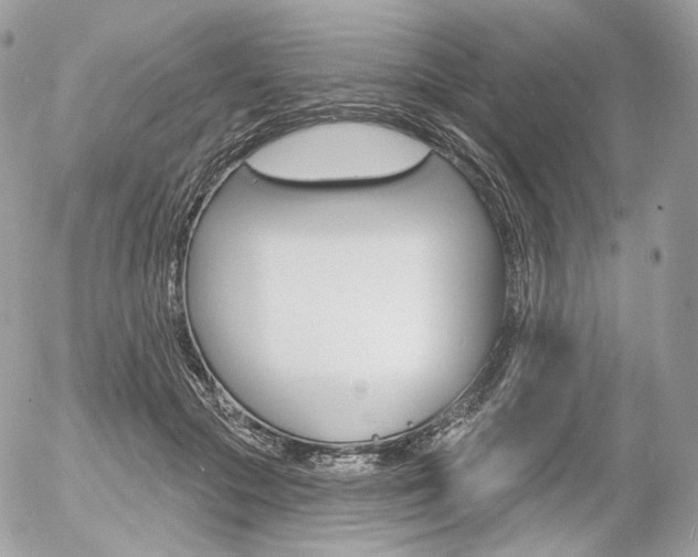 X0000056370553200508260923