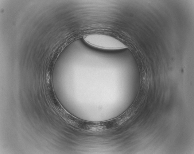 X0000056370555200508260923