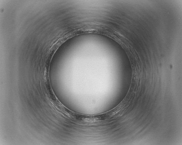 X0000056370556200508260923
