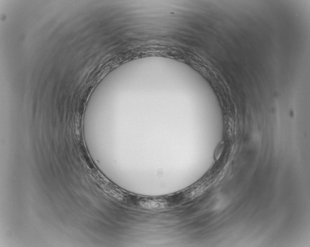 X0000056370561200508260923