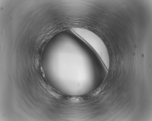 X0000056370566200508260923