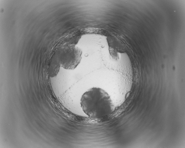 X0000056370569200508260923
