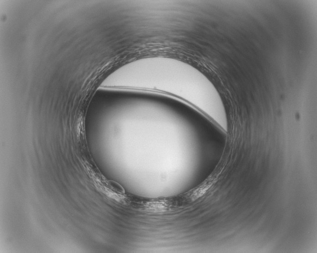 X0000056370574200508260923