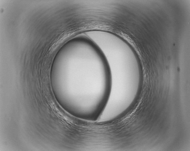 X0000056370577200508260923