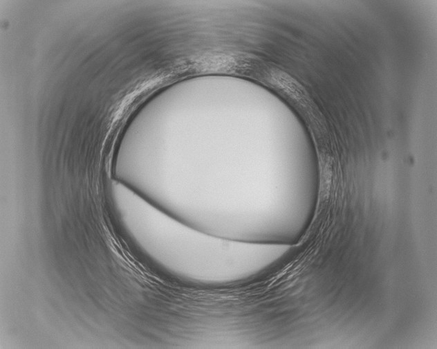 X0000056370583200508260922