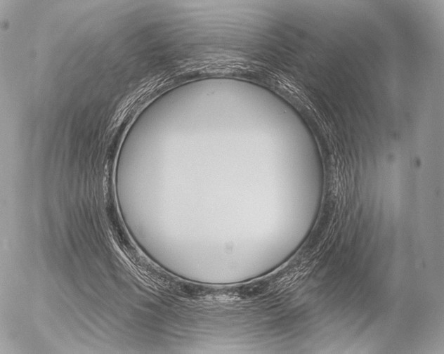 X0000056370586200508260922
