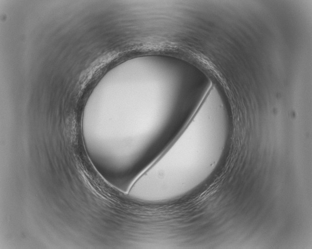 X0000056370588200508260922
