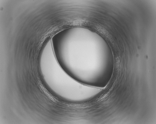 X0000056370589200508260922