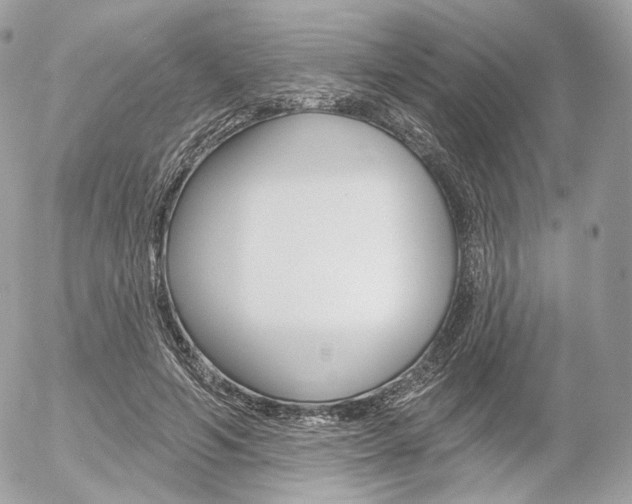 X0000056370594200508260922