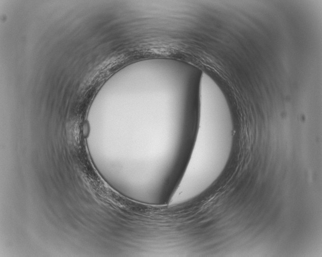 X0000056370595200508260922