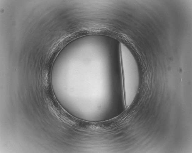 X0000056370596200508260922