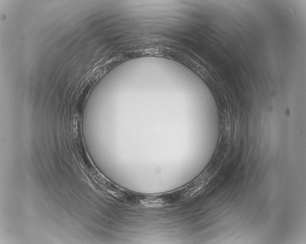 X0000056370603200508260922