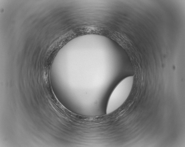 X0000056370607200508260922