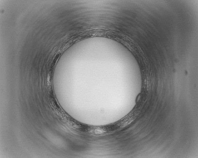 X0000056370610200508260922