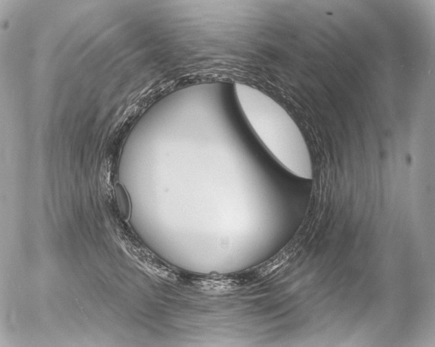 X0000056370615200508260922