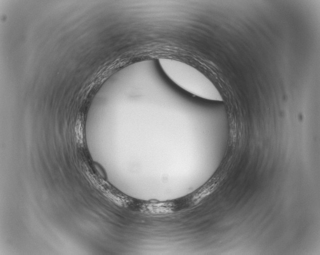 X0000056370622200508260922
