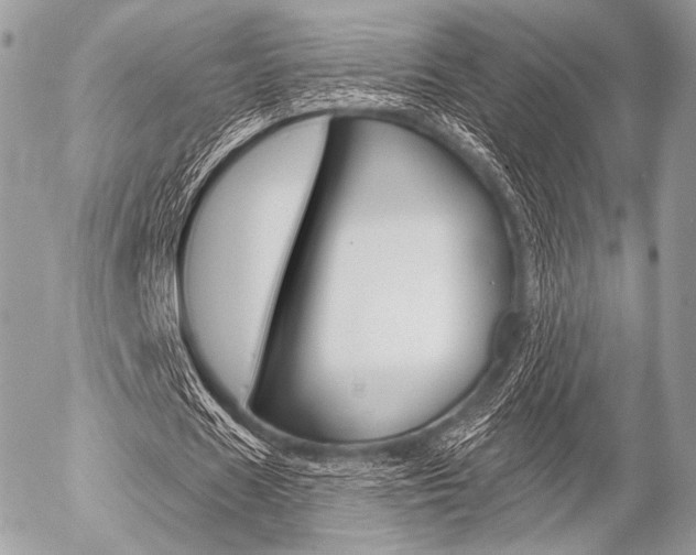 X0000056370625200508260921