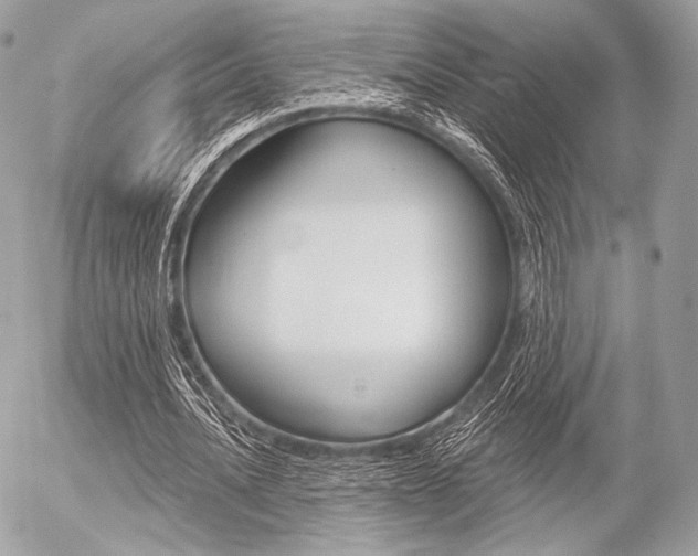X0000056370628200508260921