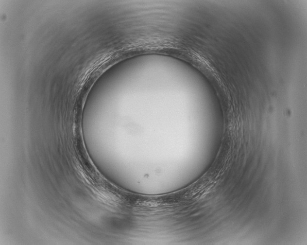 X0000056370635200508260921
