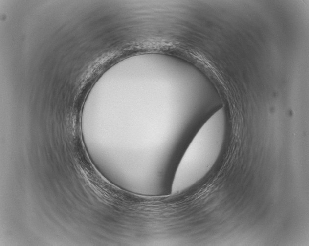 X0000056370636200508260921