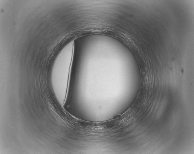 X0000056370643200508260921