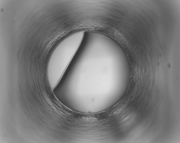 X0000056370644200508260921