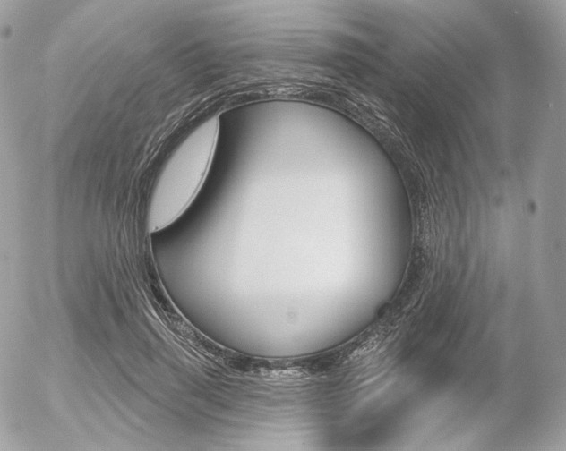 X0000056370645200508260921