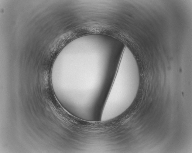 X0000056370646200508260921