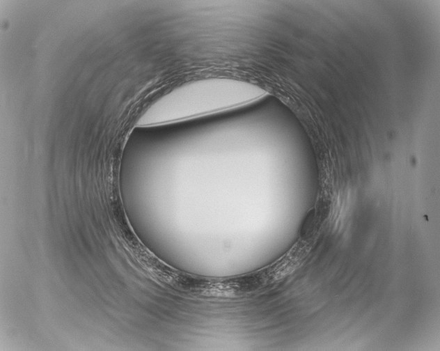 X0000056370656200508260922