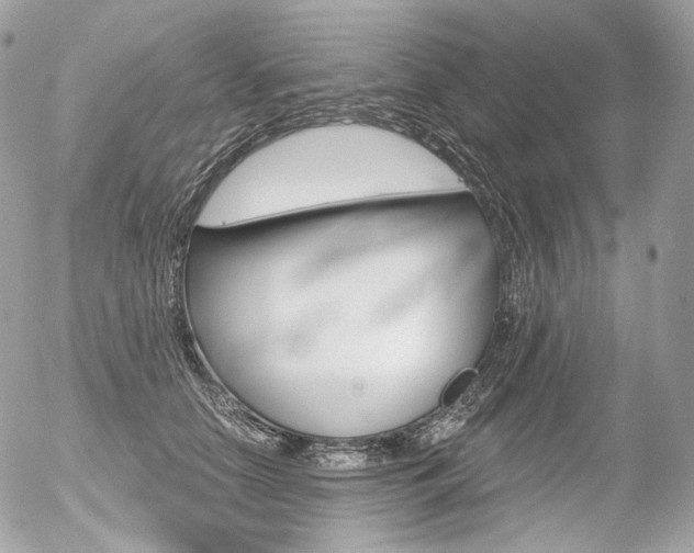 X0000056370658200508260922