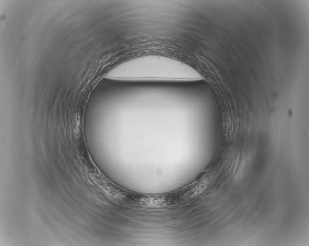 X0000056370660200508260922